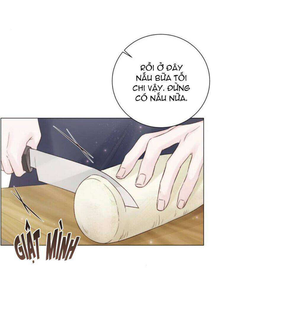 page_19.jpg