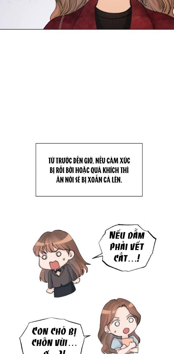 page_26.jpg