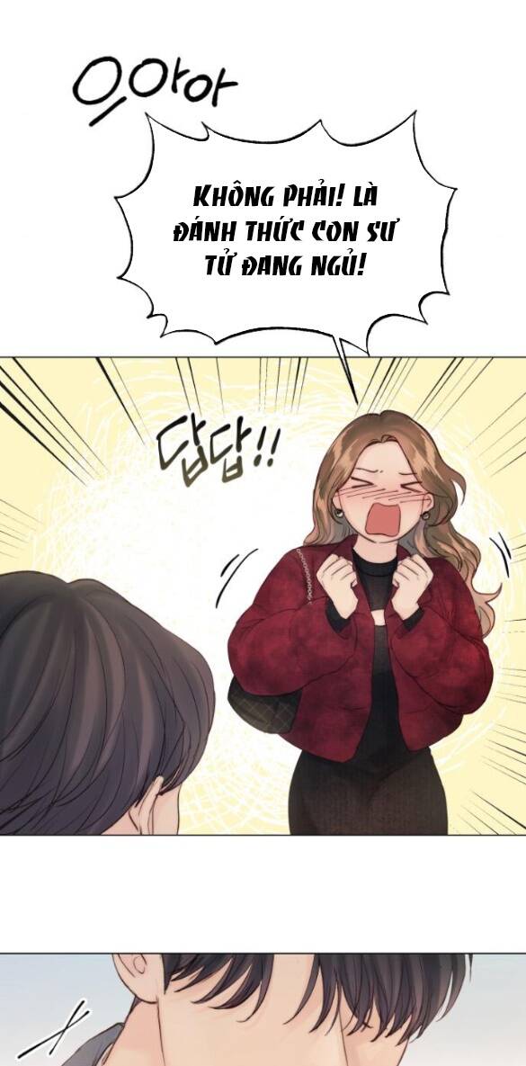 page_29.jpg