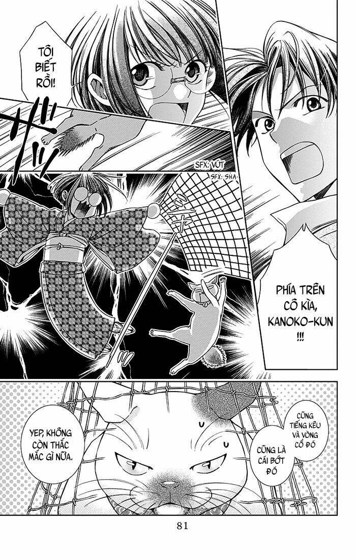 page_5.jpg