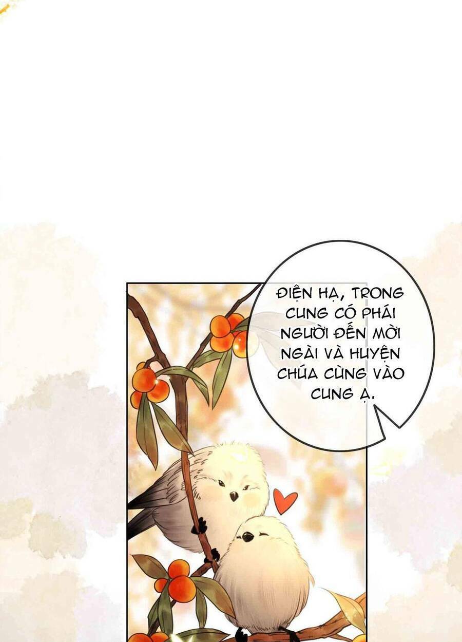 page_17.jpg