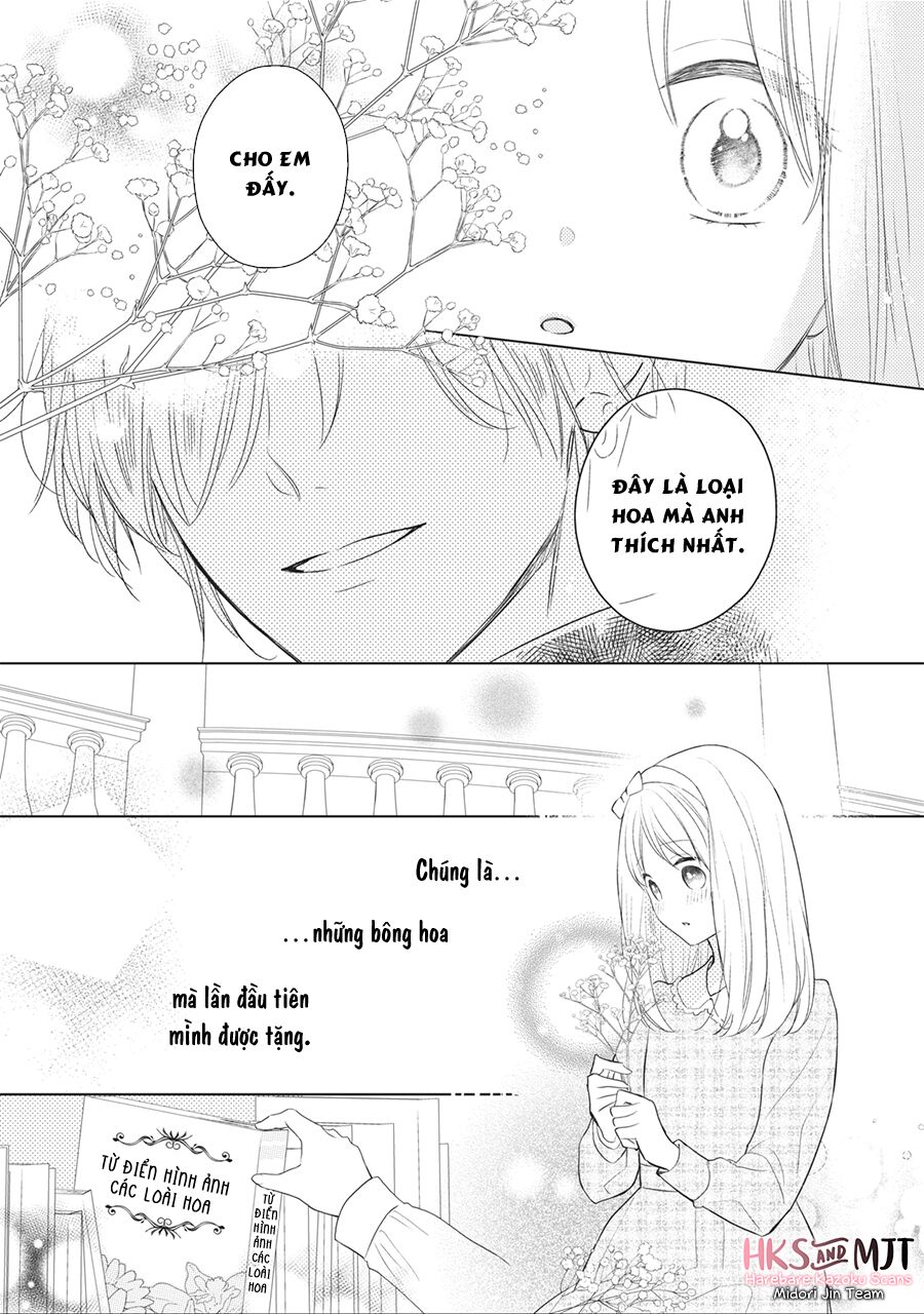 page_28.jpg