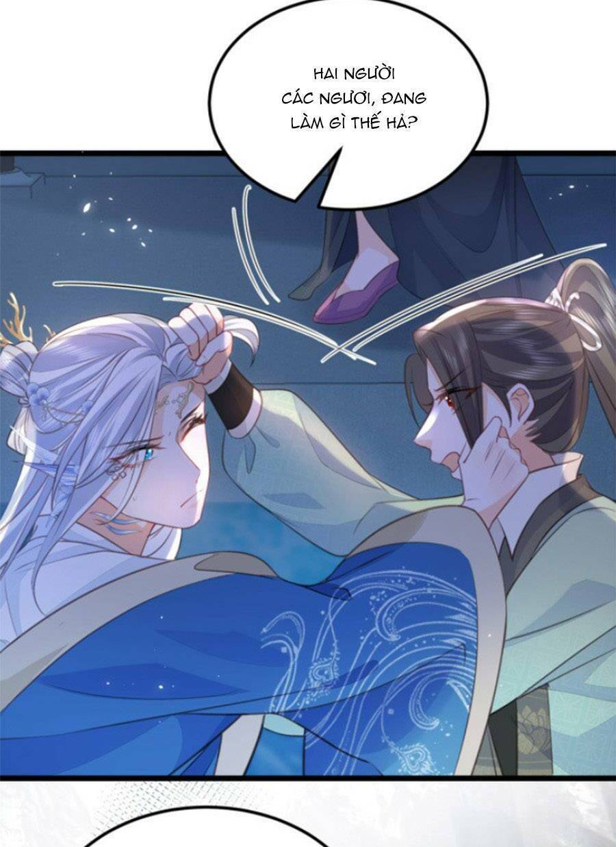 page_24.jpg