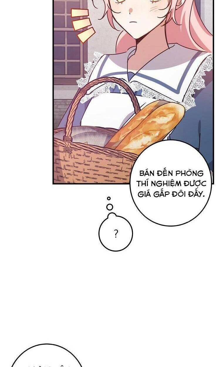 page_29.jpg