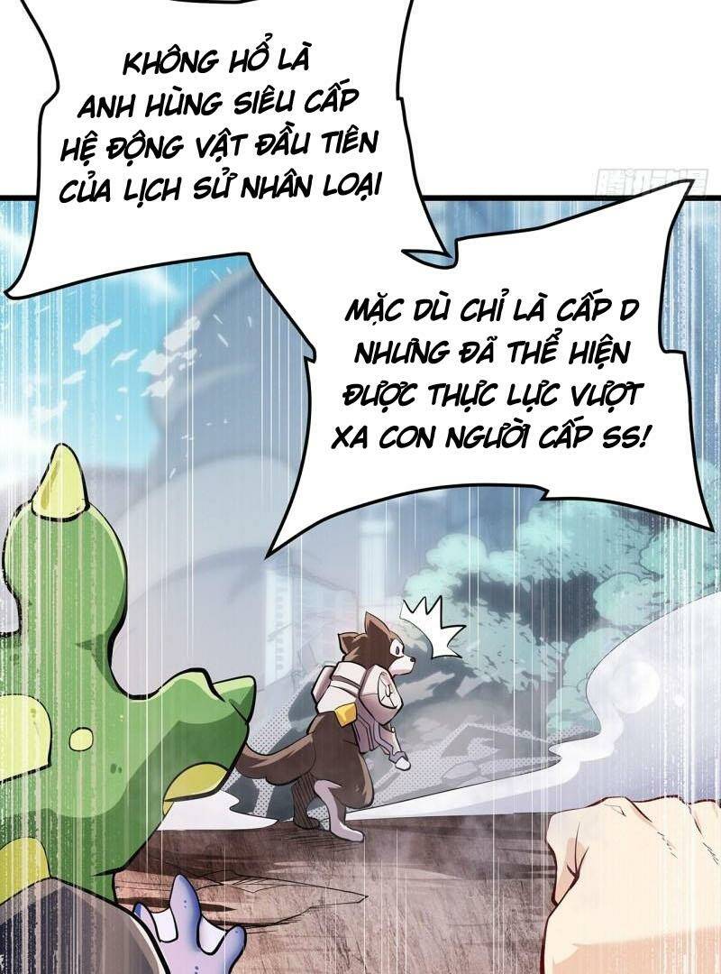 page_26.jpg