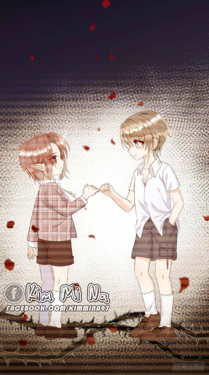page_29.jpg
