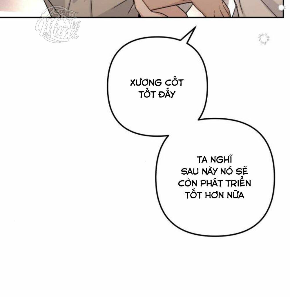 page_43.jpg