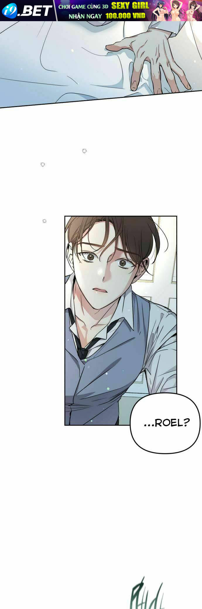 page_19.jpg