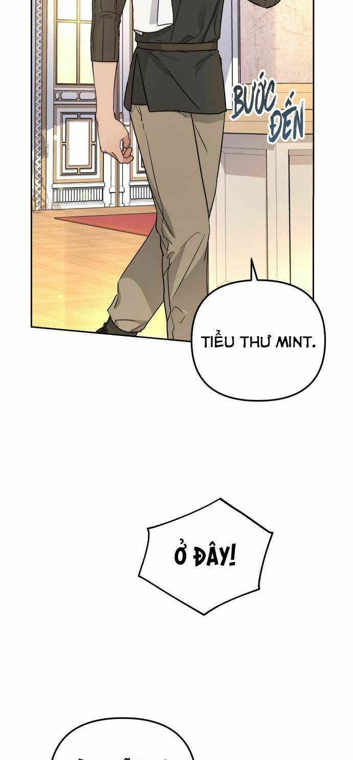 page_29.jpg