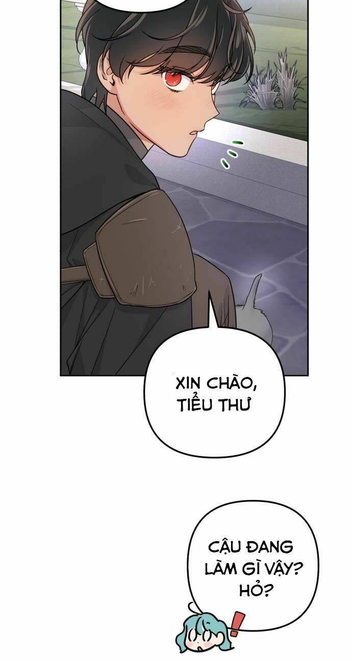page_39.jpg