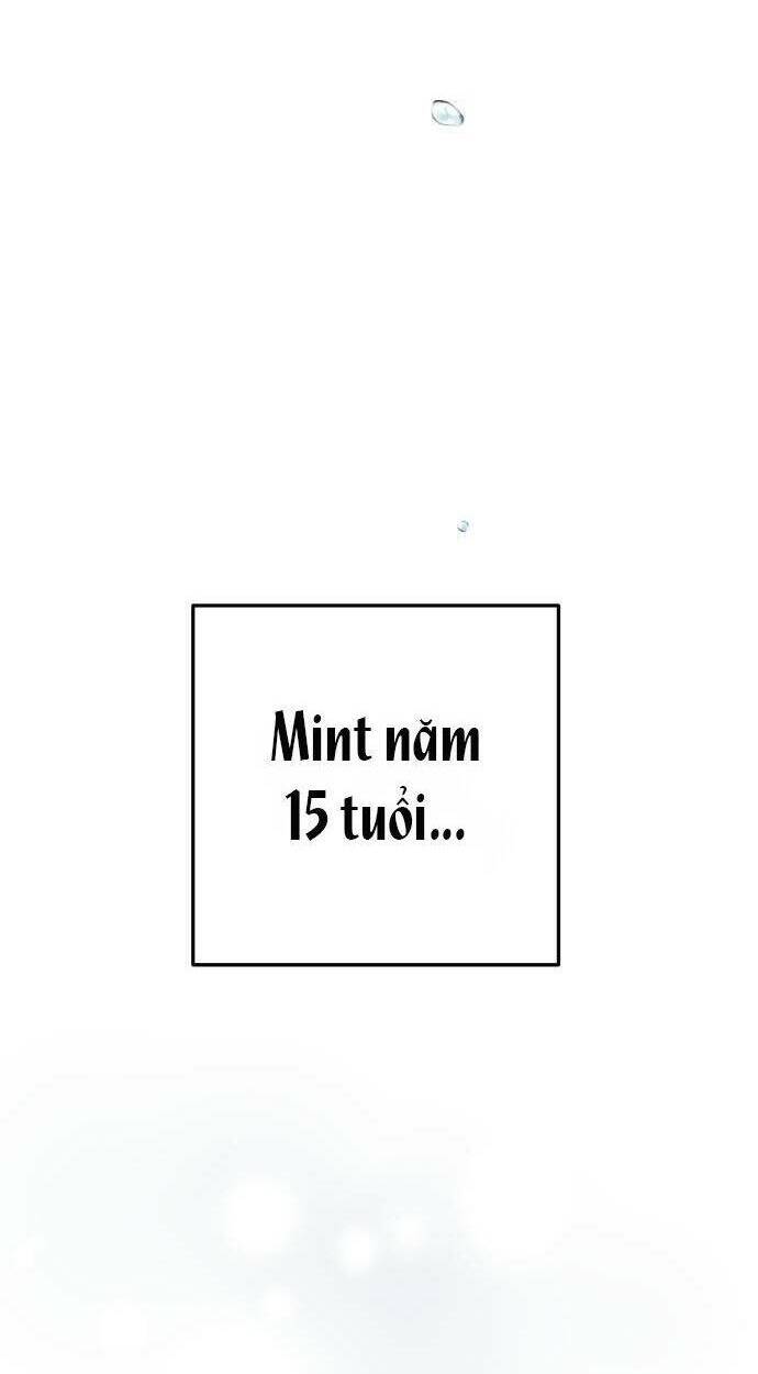 page_40.jpg
