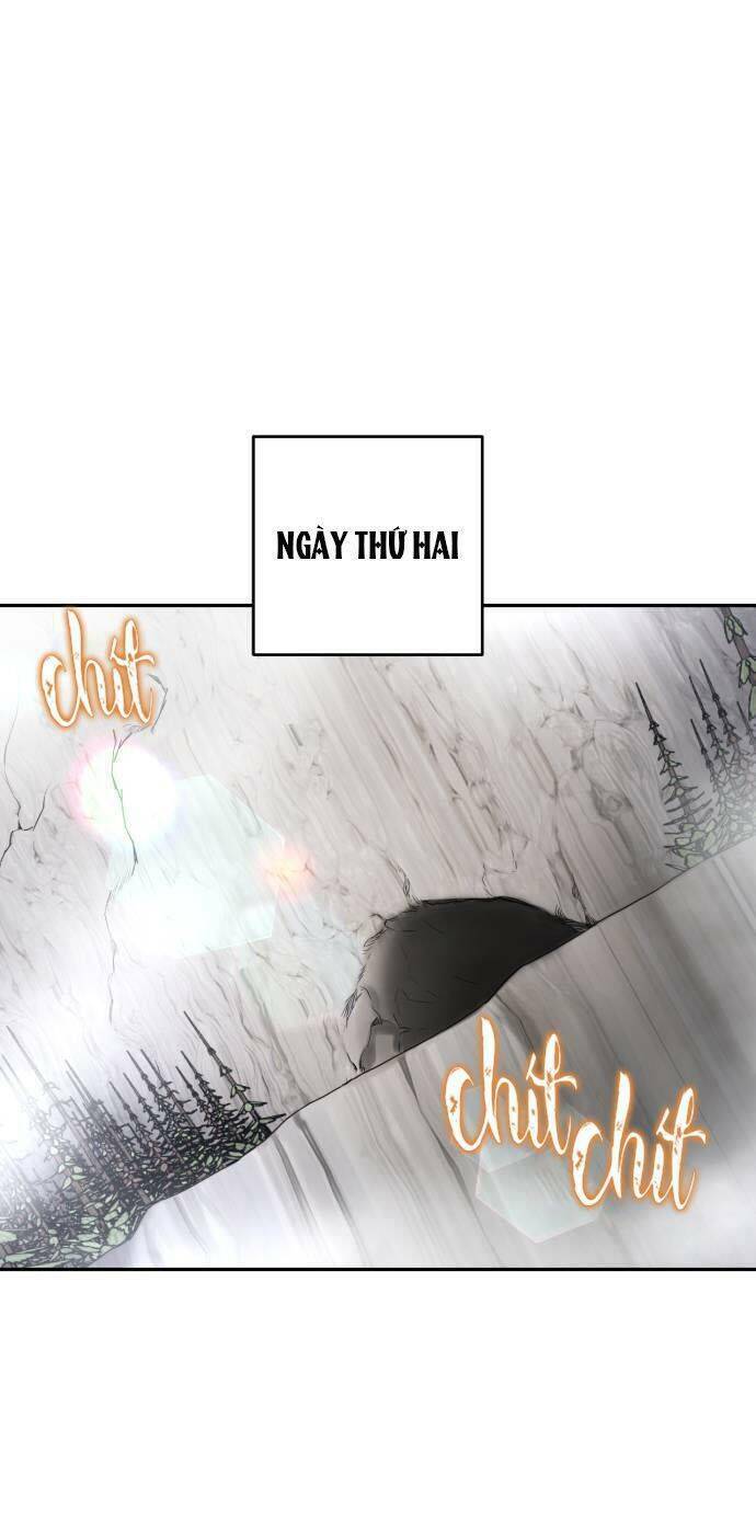 page_37.jpg