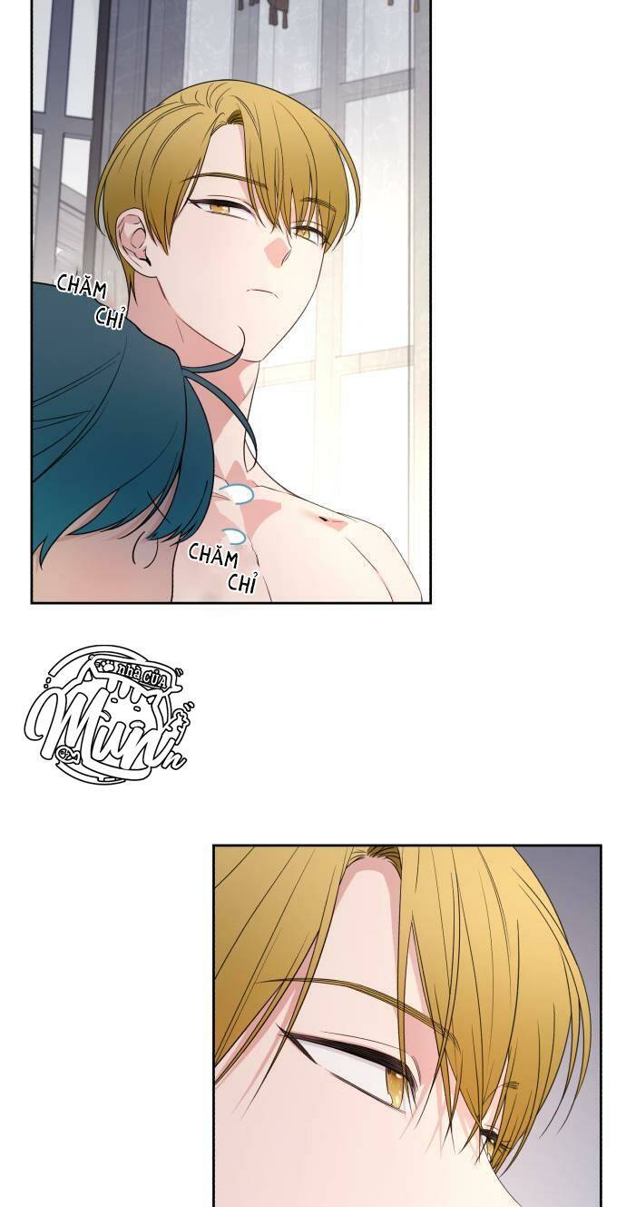 page_26.jpg