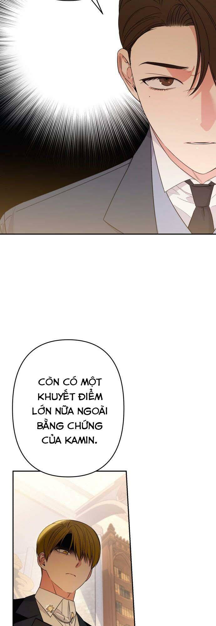 page_28.jpg