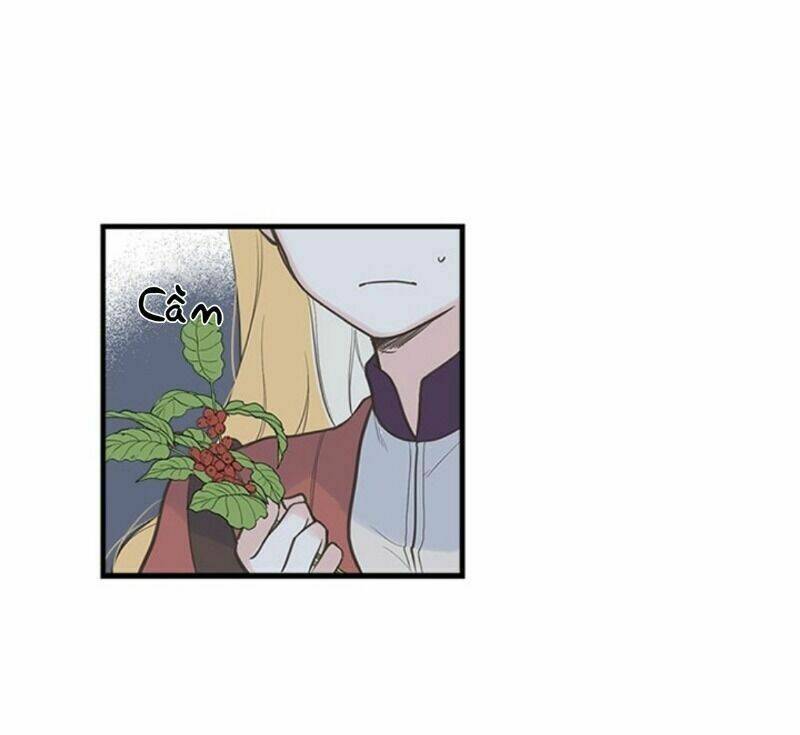 page_24.jpg