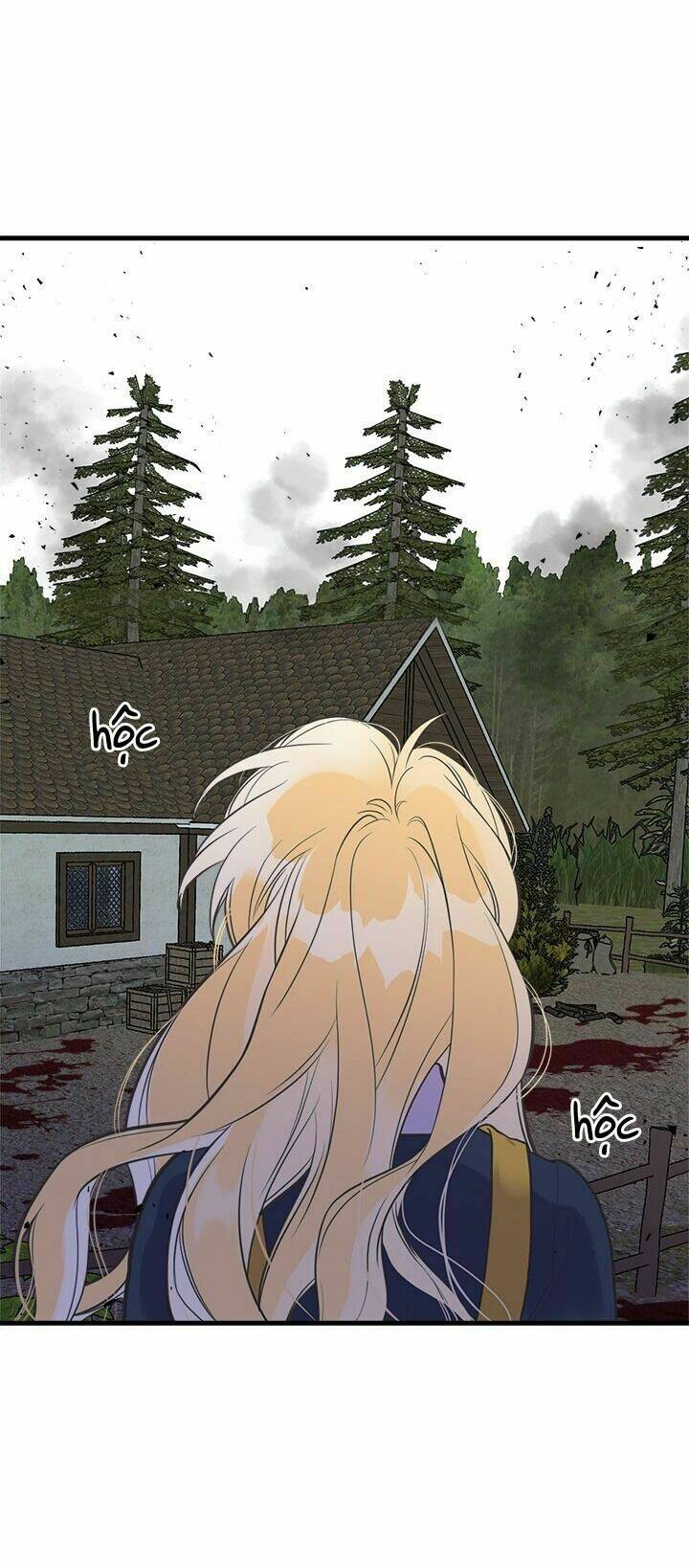 page_25.jpg