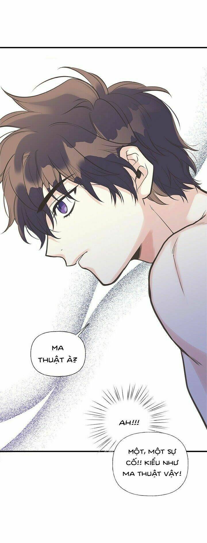 page_29.jpg
