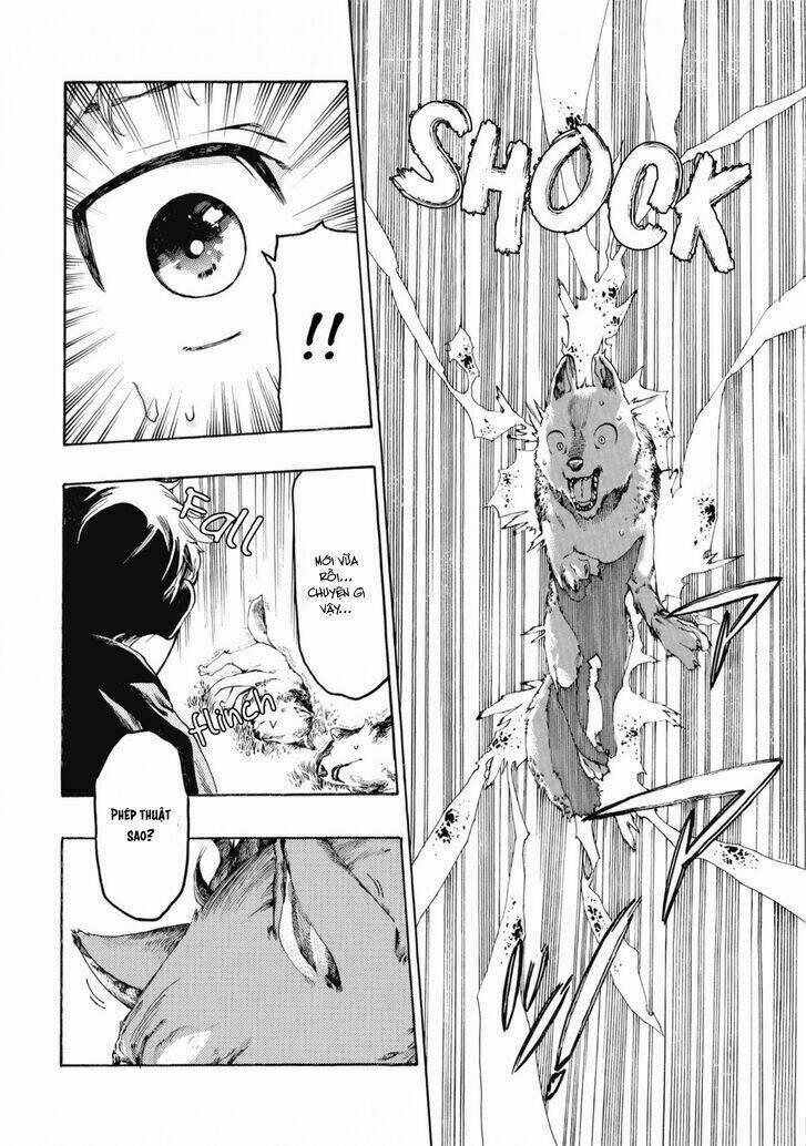 page_12.jpg