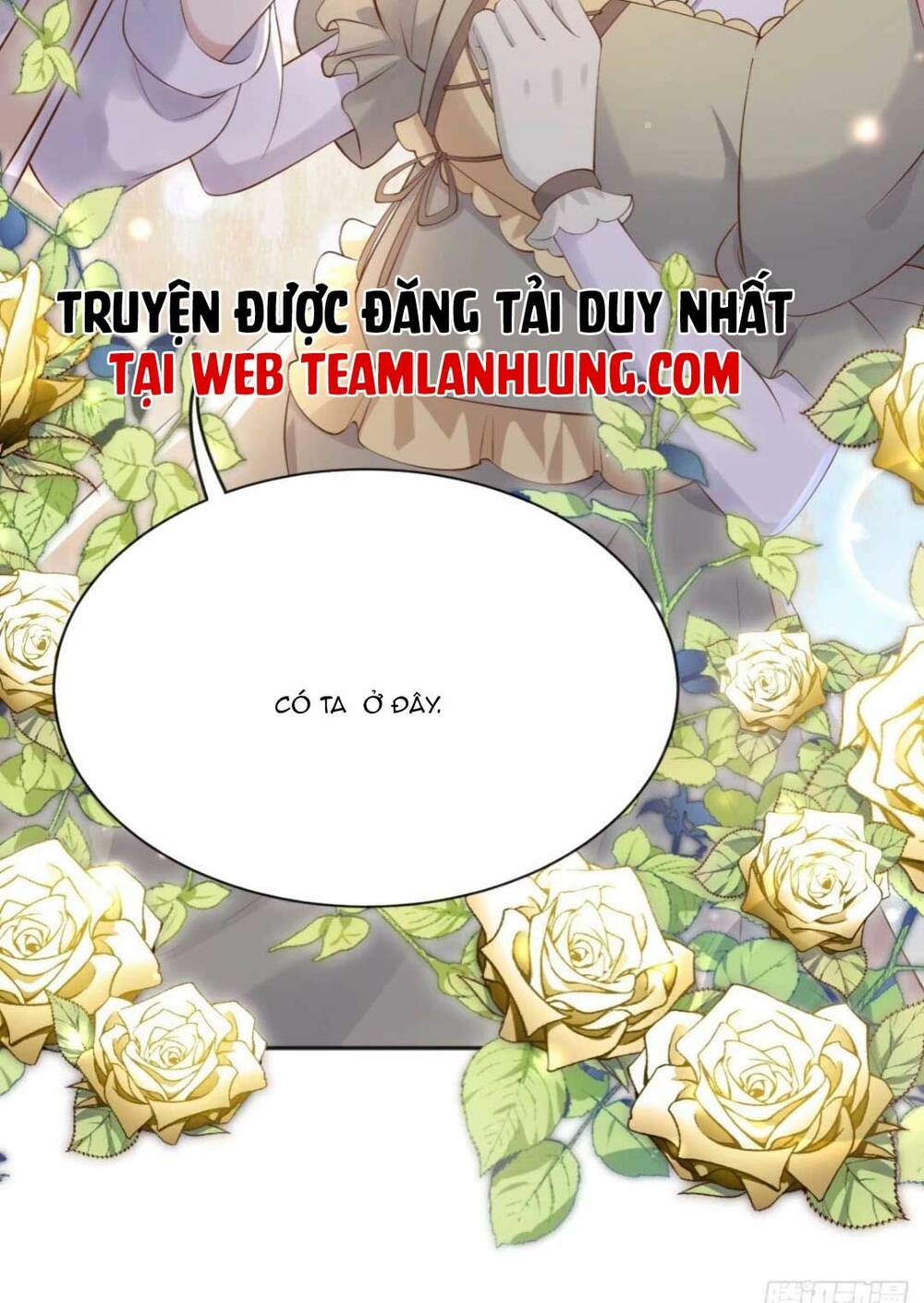 page_41.jpg