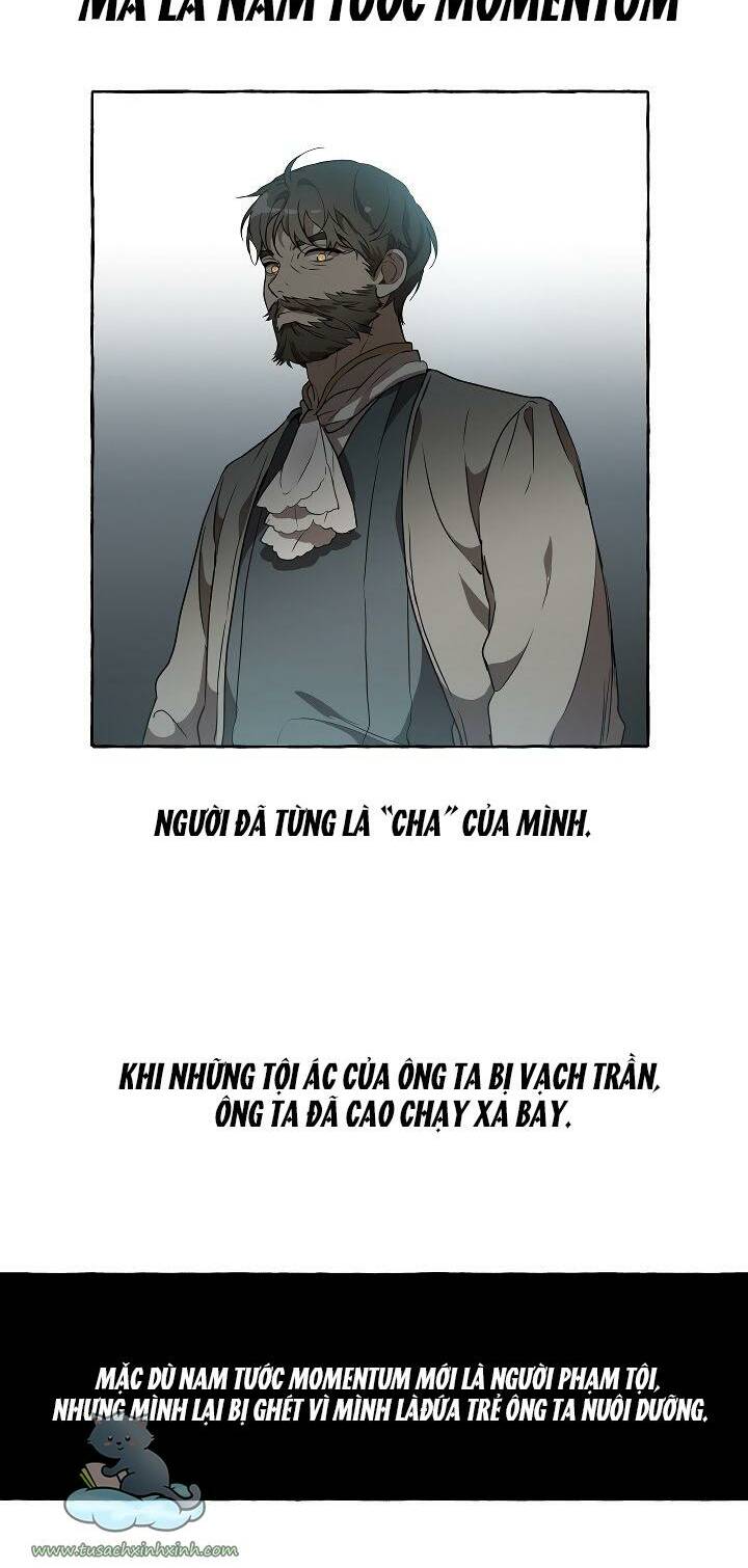 page_19.jpg