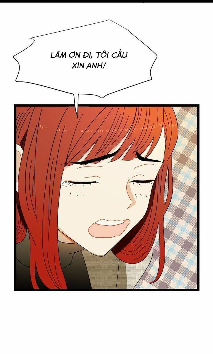 page_40.jpg
