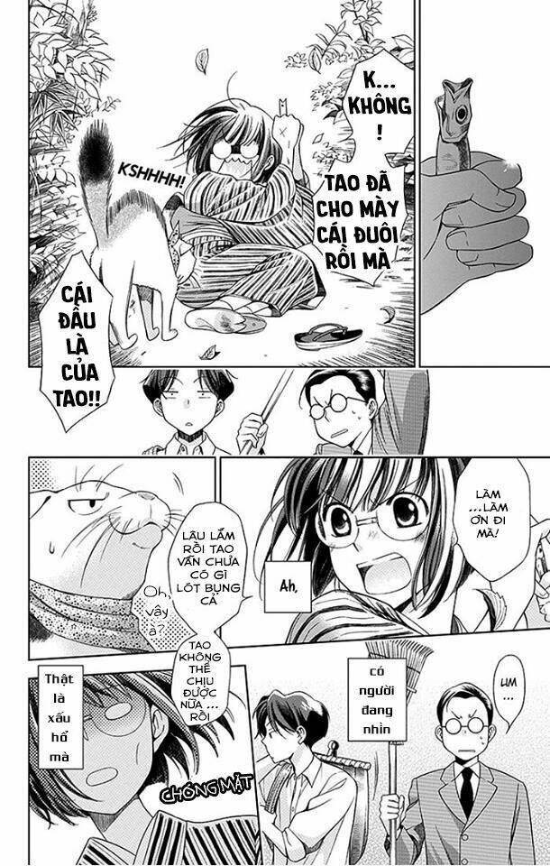 page_16.jpg