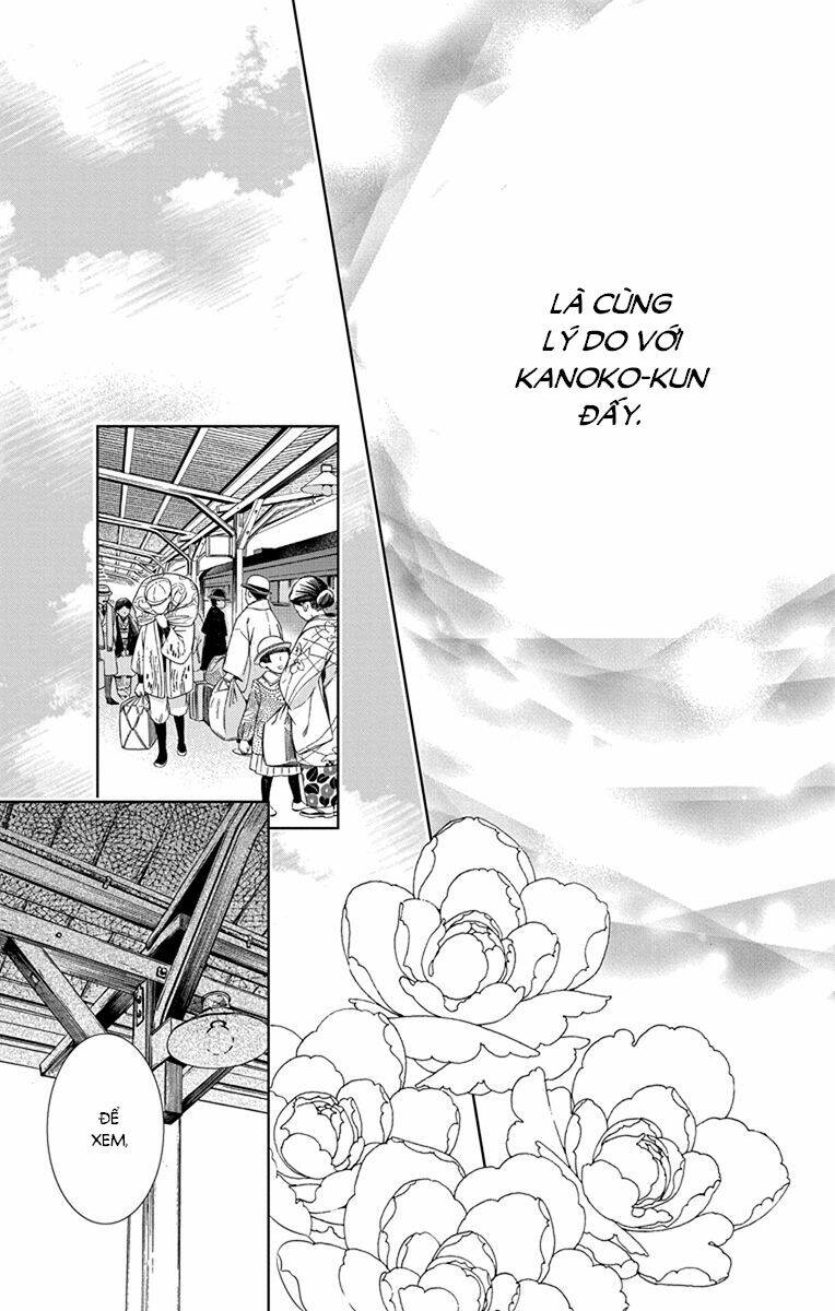 page_19.jpg