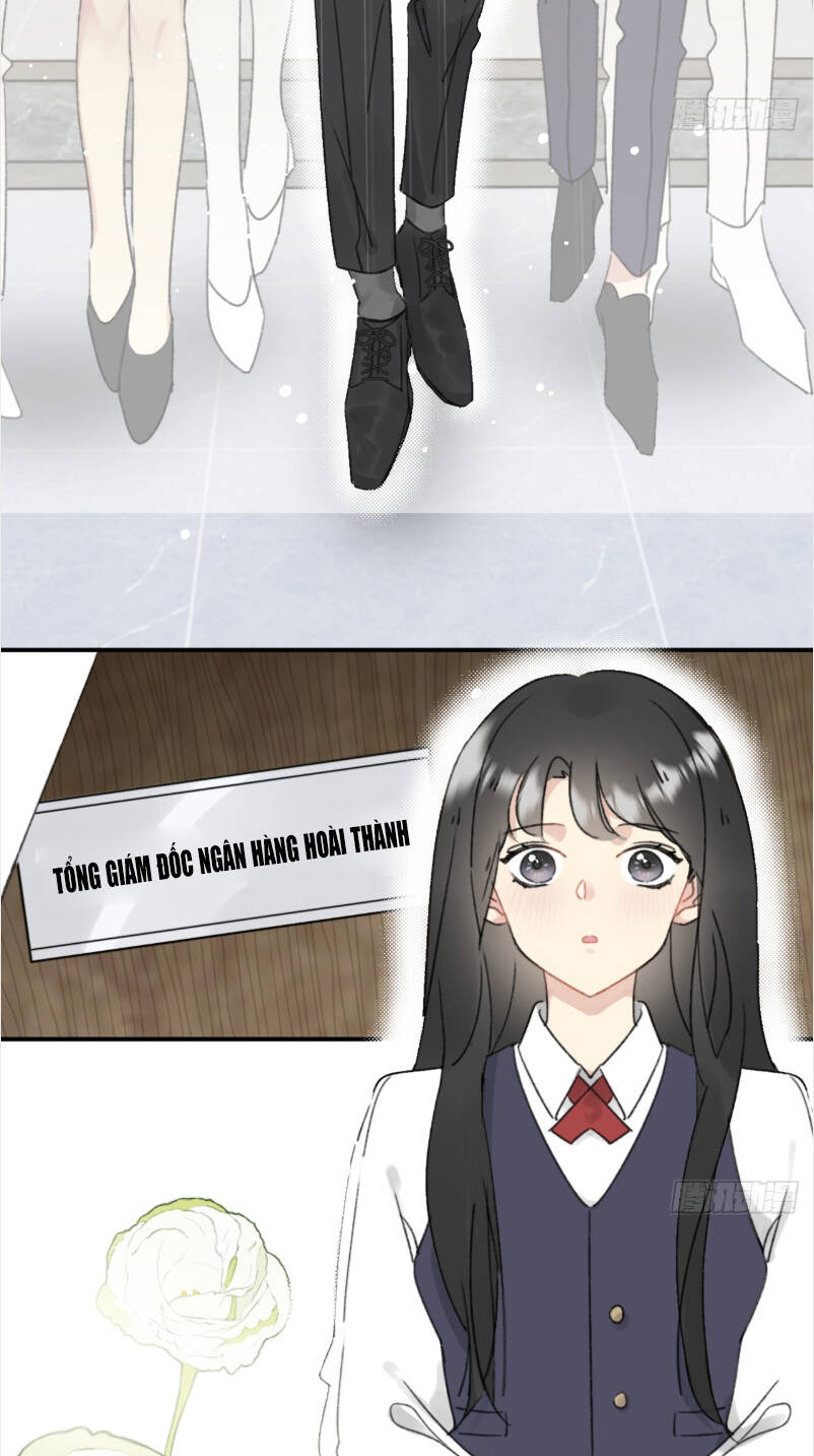 page_16.jpg