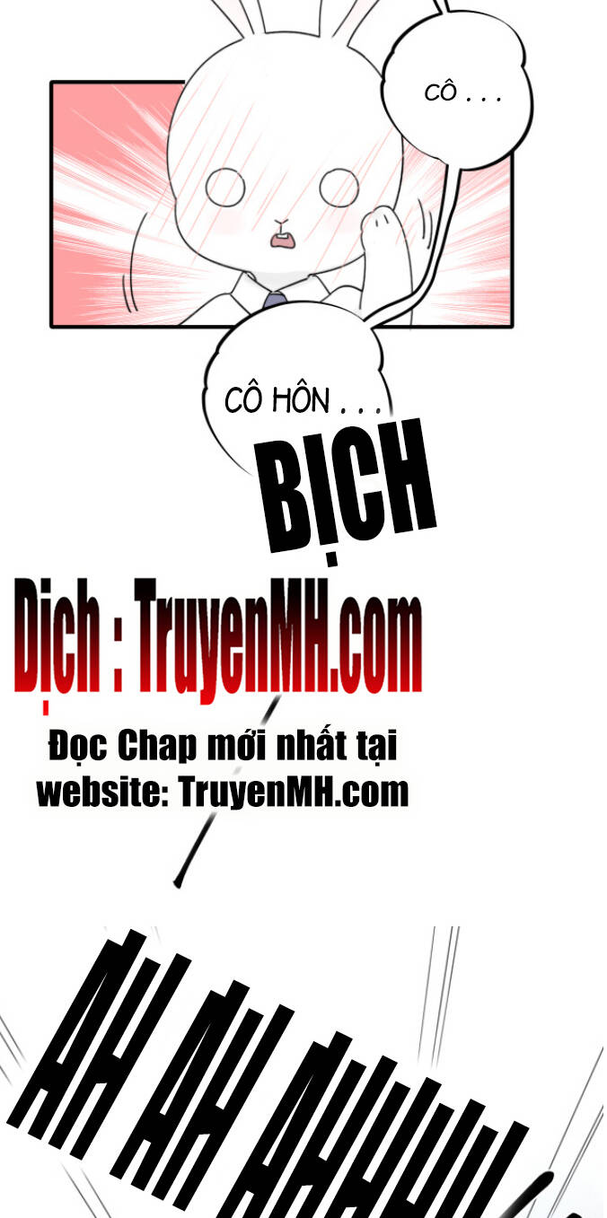 page_19.jpg