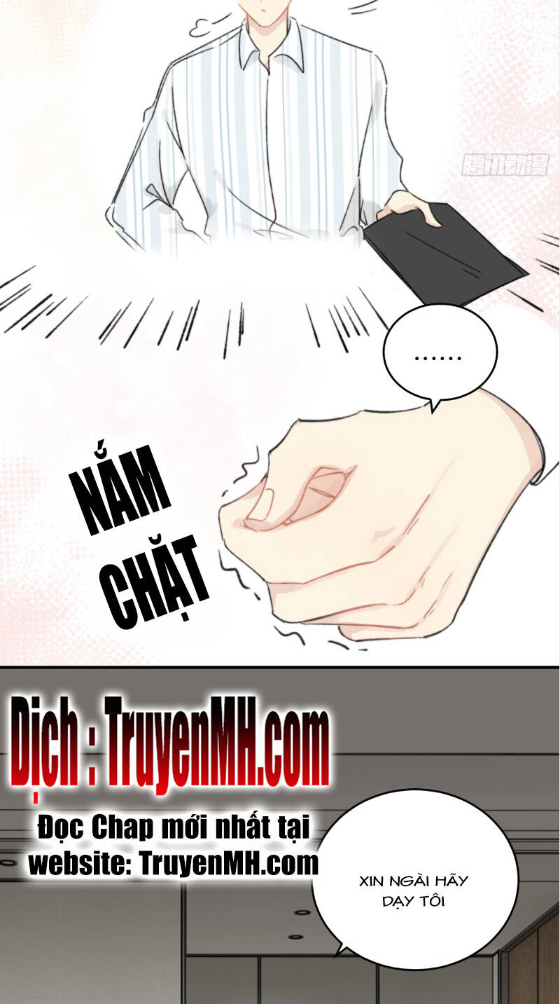 page_21.jpg