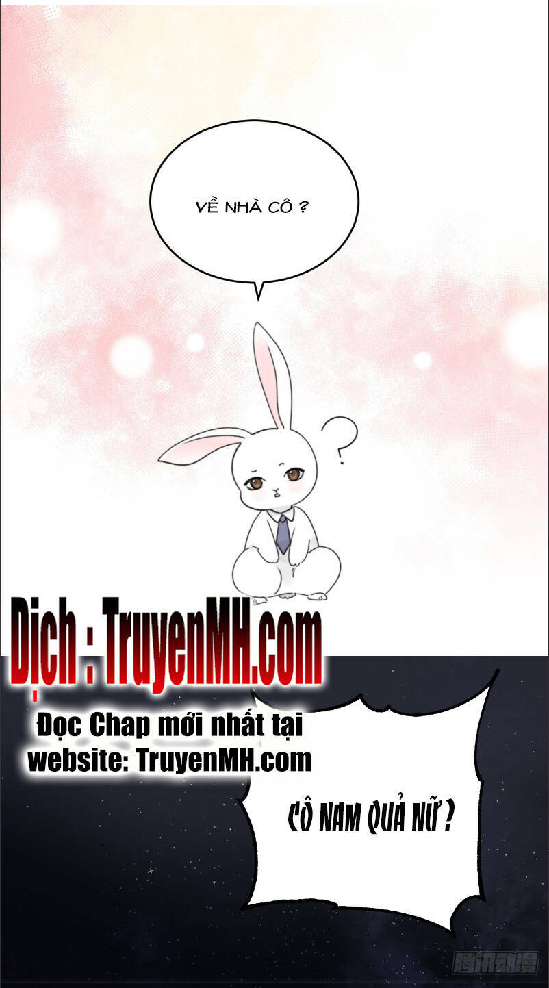 page_21.jpg