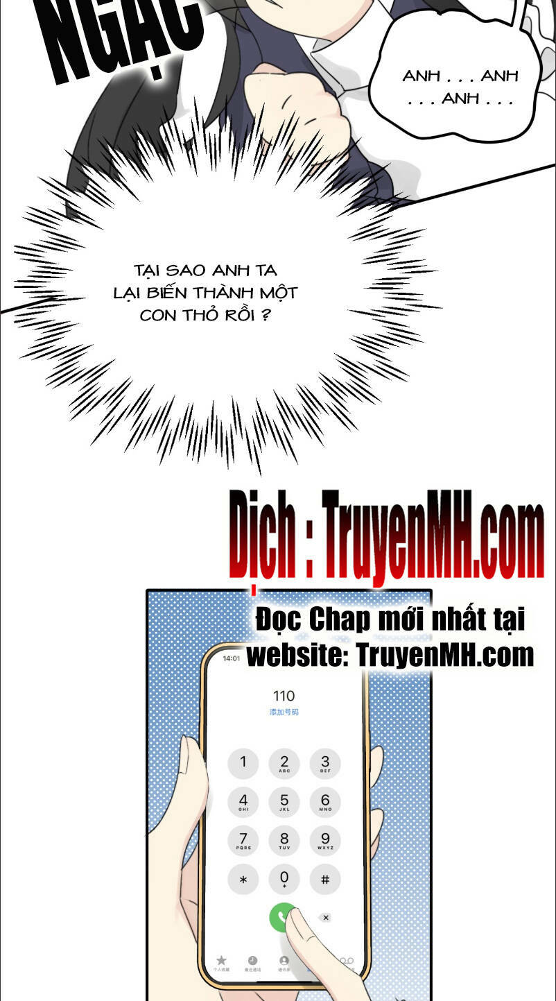 page_4.jpg