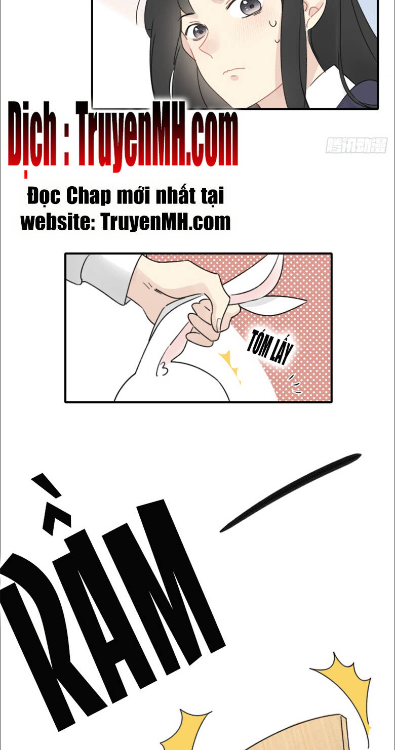 page_17.jpg