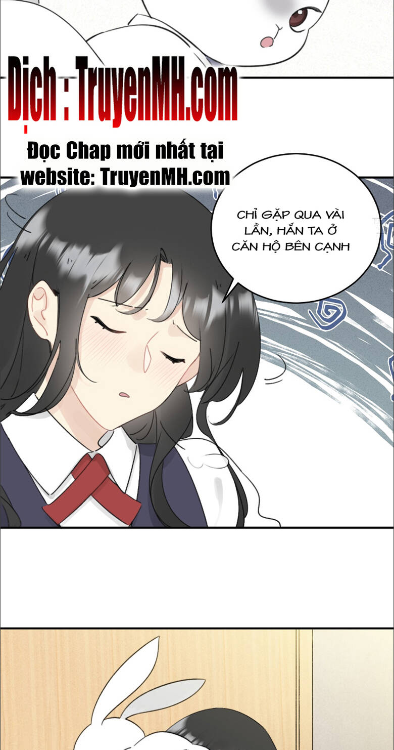 page_20.jpg
