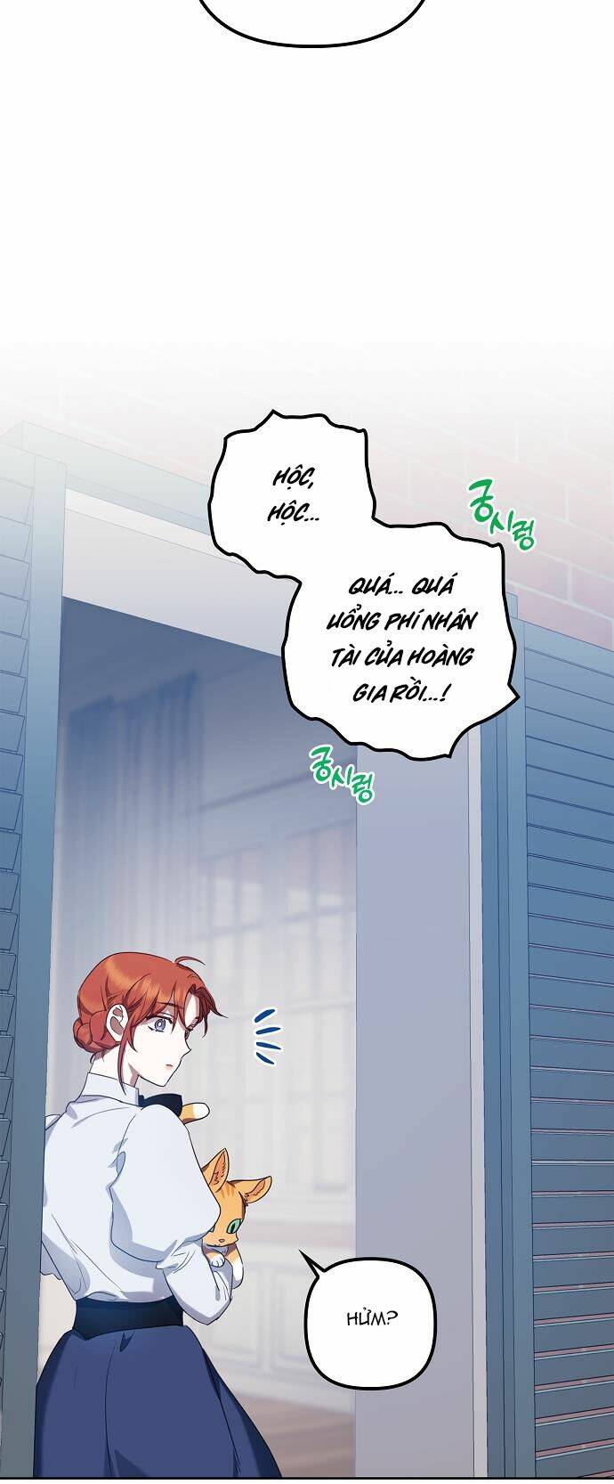 page_17.jpg