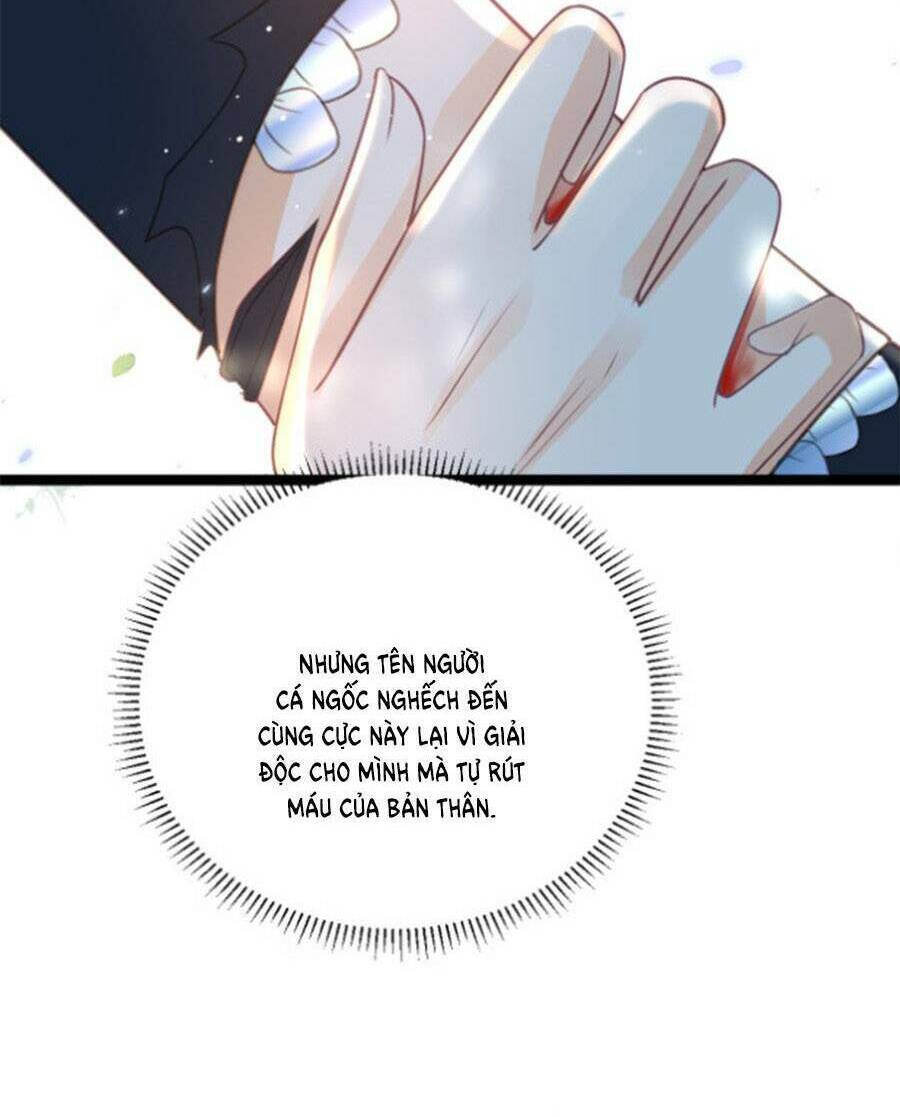page_37.jpg