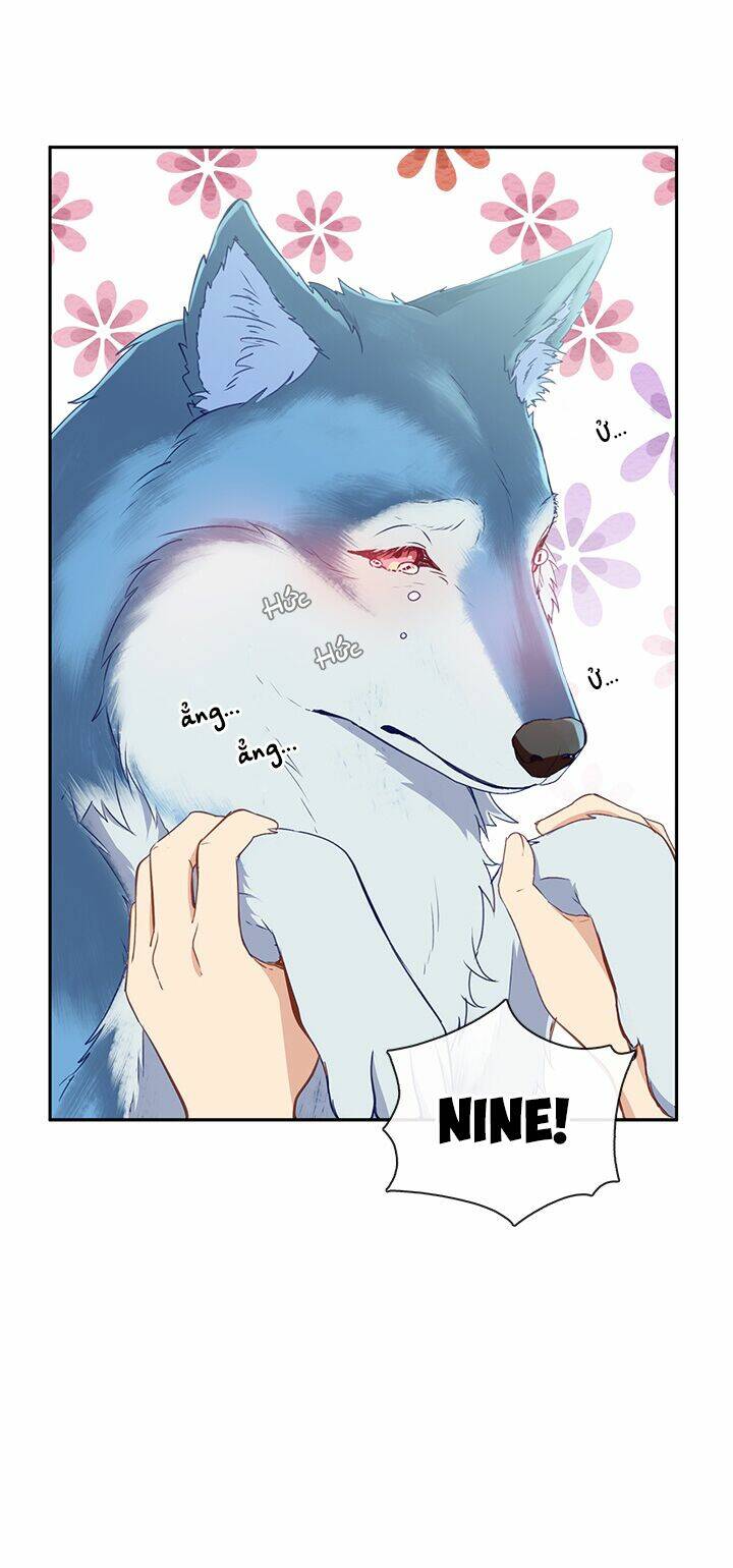 page_42.jpg