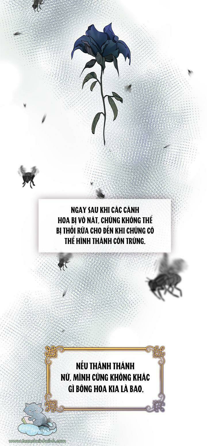 page_28.jpg