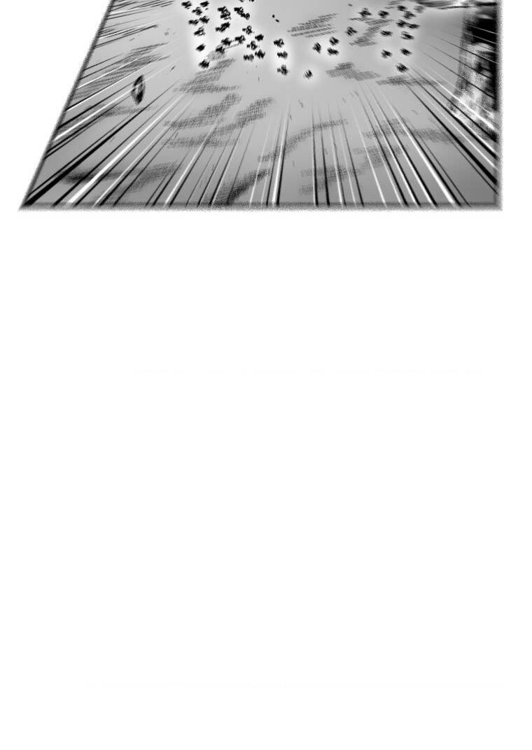 page_13.jpg