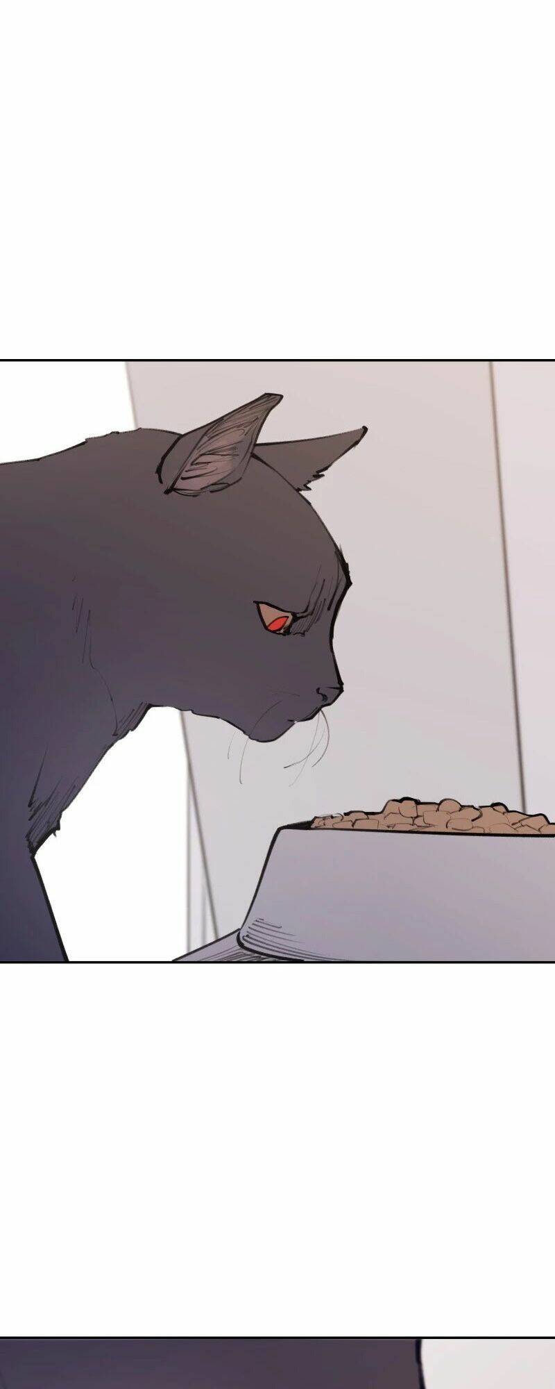 page_24.jpg