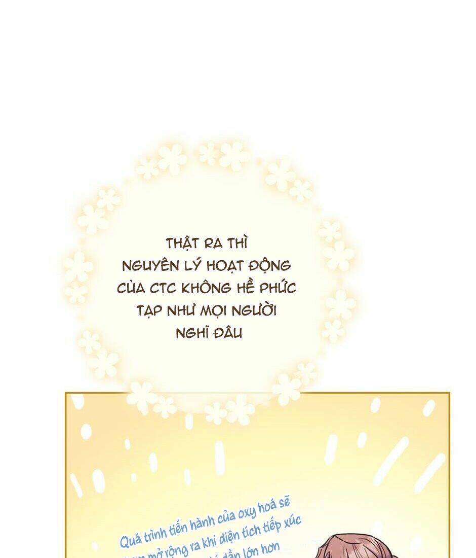 page_20.jpg