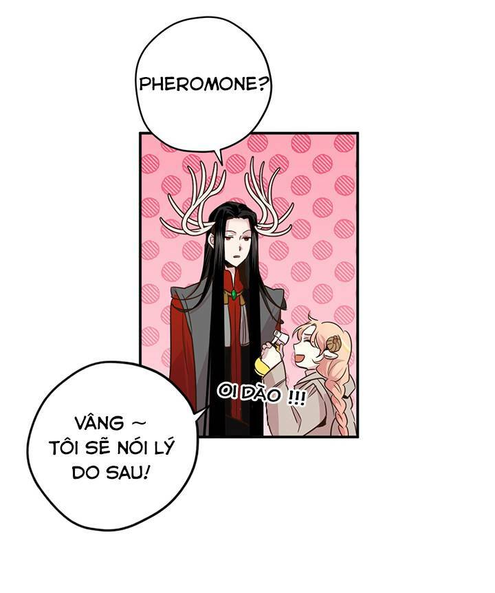 page_24.jpg