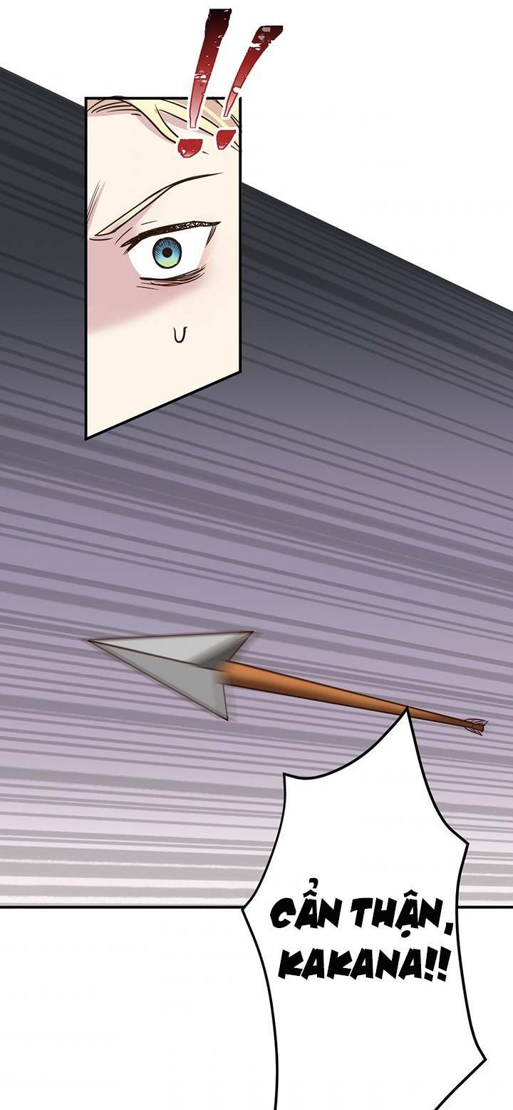 page_25.jpg