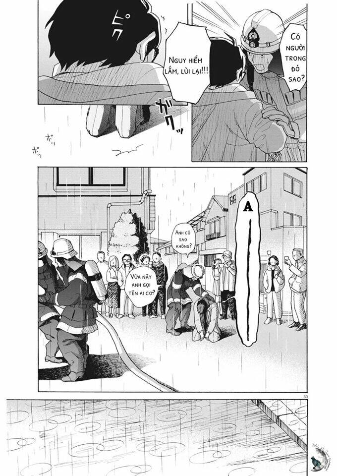 page_29.jpg