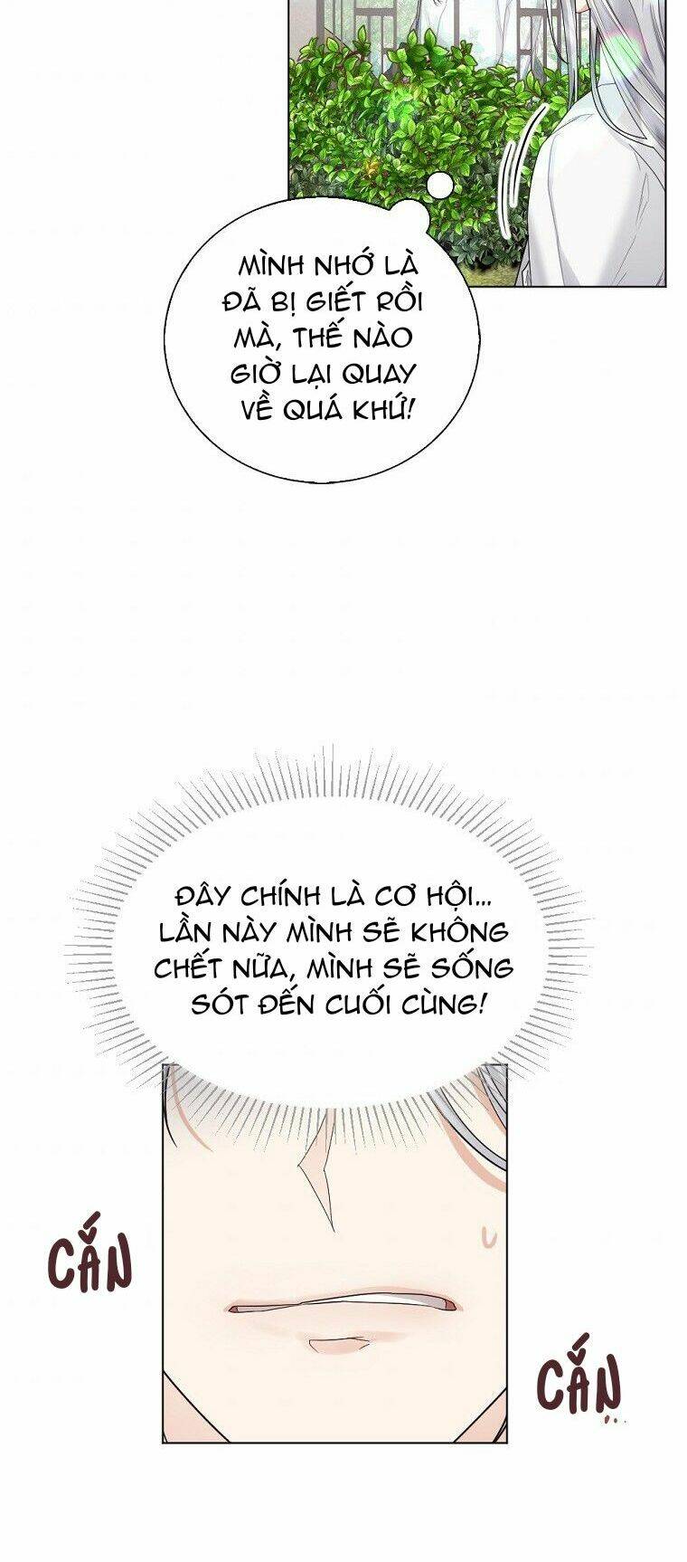 page_20.jpg