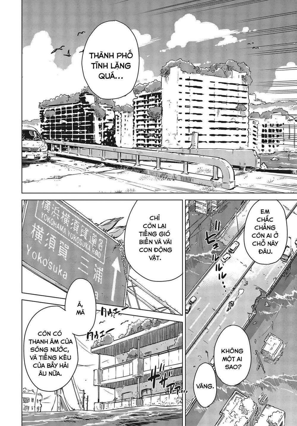 page_27.jpg