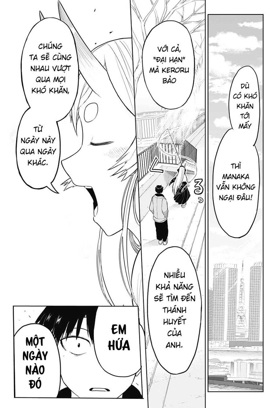 page_17.jpg
