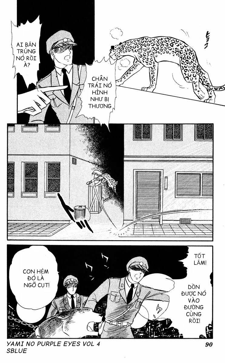 page_28.jpg
