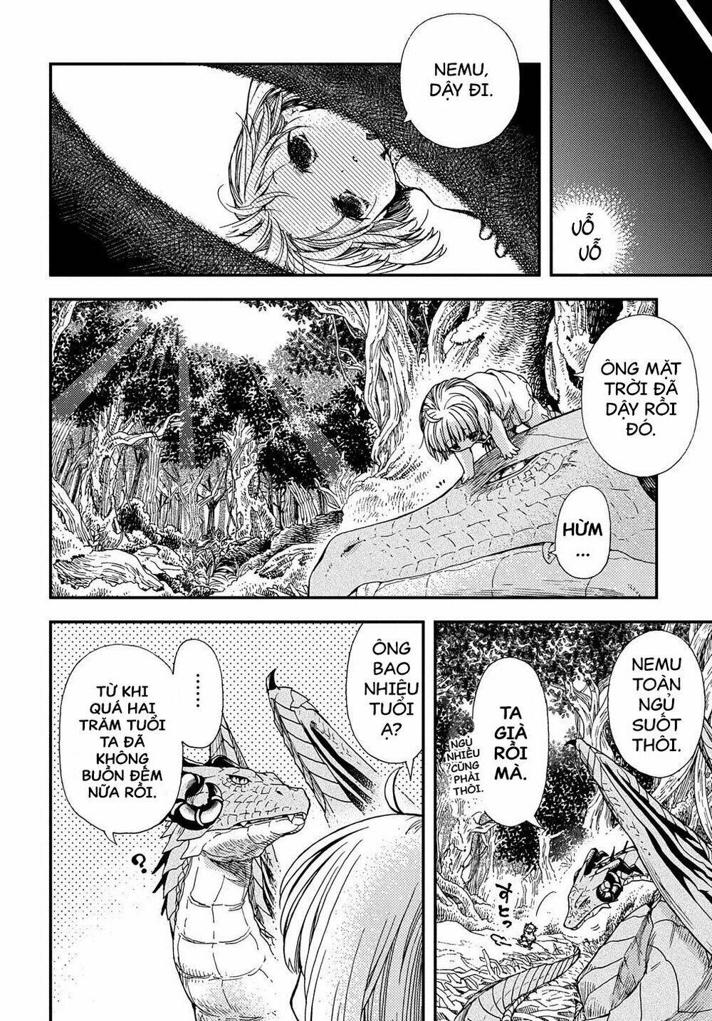 page_21.jpg