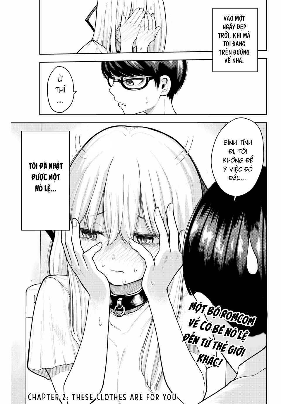 page_3.jpg